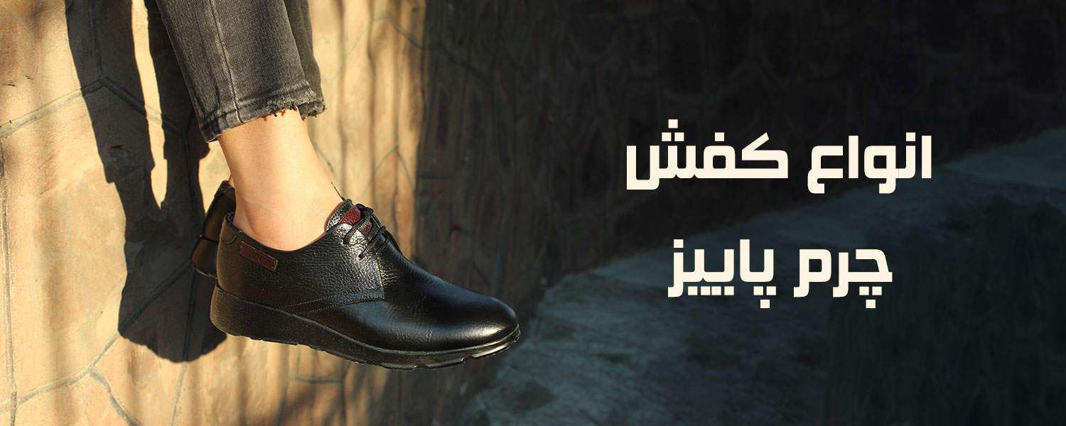 انواع کیف و کفش چرم طبیعی چرم پاییز