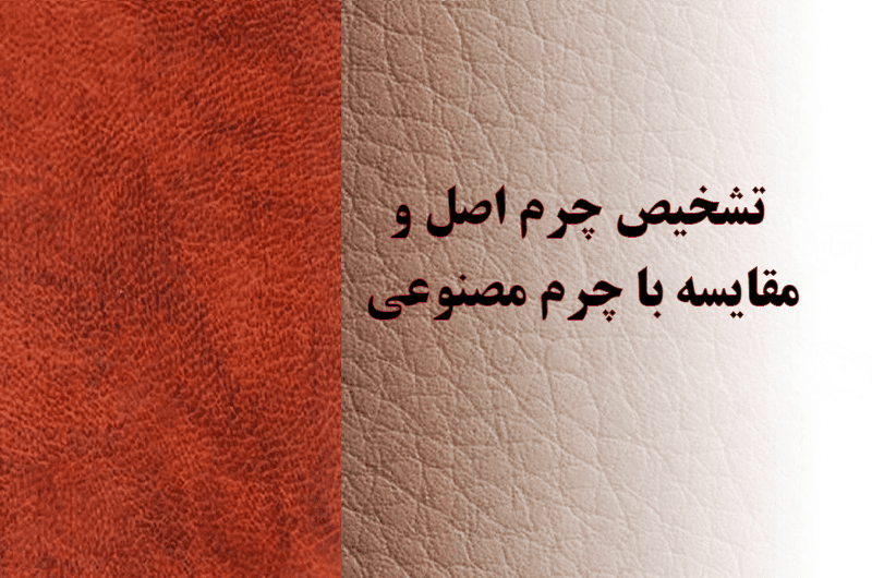 خرید کفش چرم طبیعی