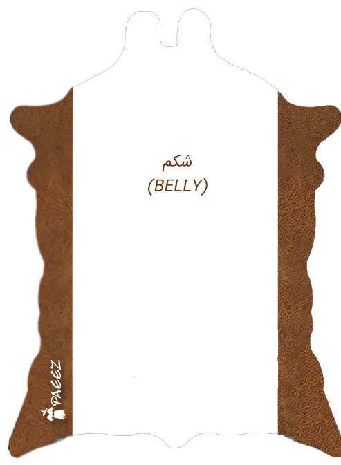 شکم-چرم-گاوی
