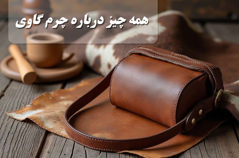 همه چیز درباره چرم گاوی