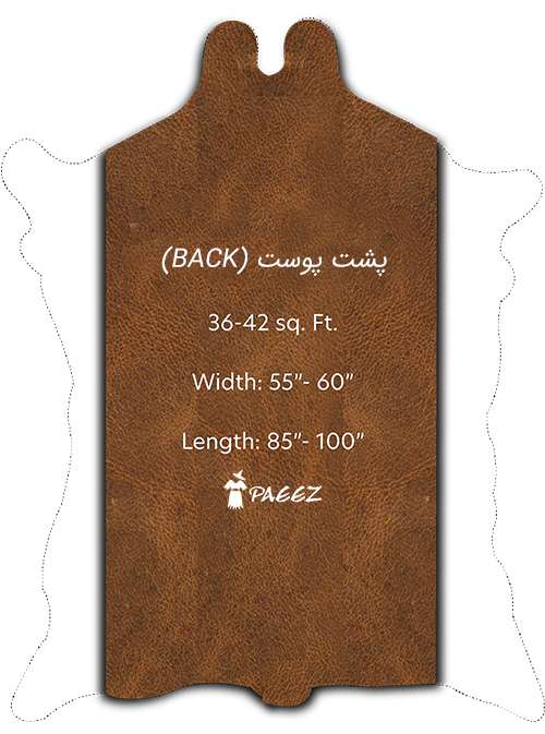 پشت-پوست-چرم-گاوی