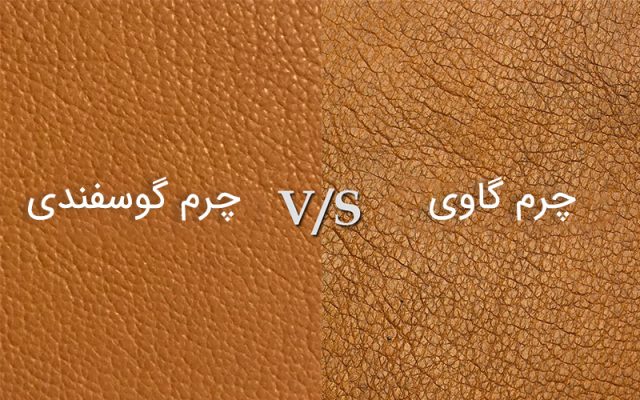 مقایسه-چرم-گاوی-و-گوسفندی