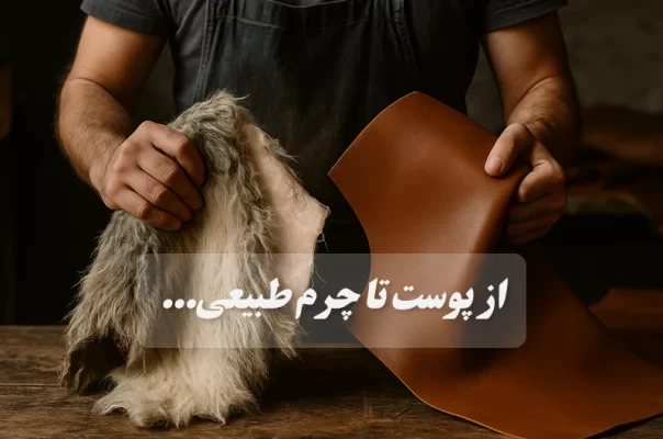 مراحل آماده سازی کردن چرم طبیعی عکس کاور